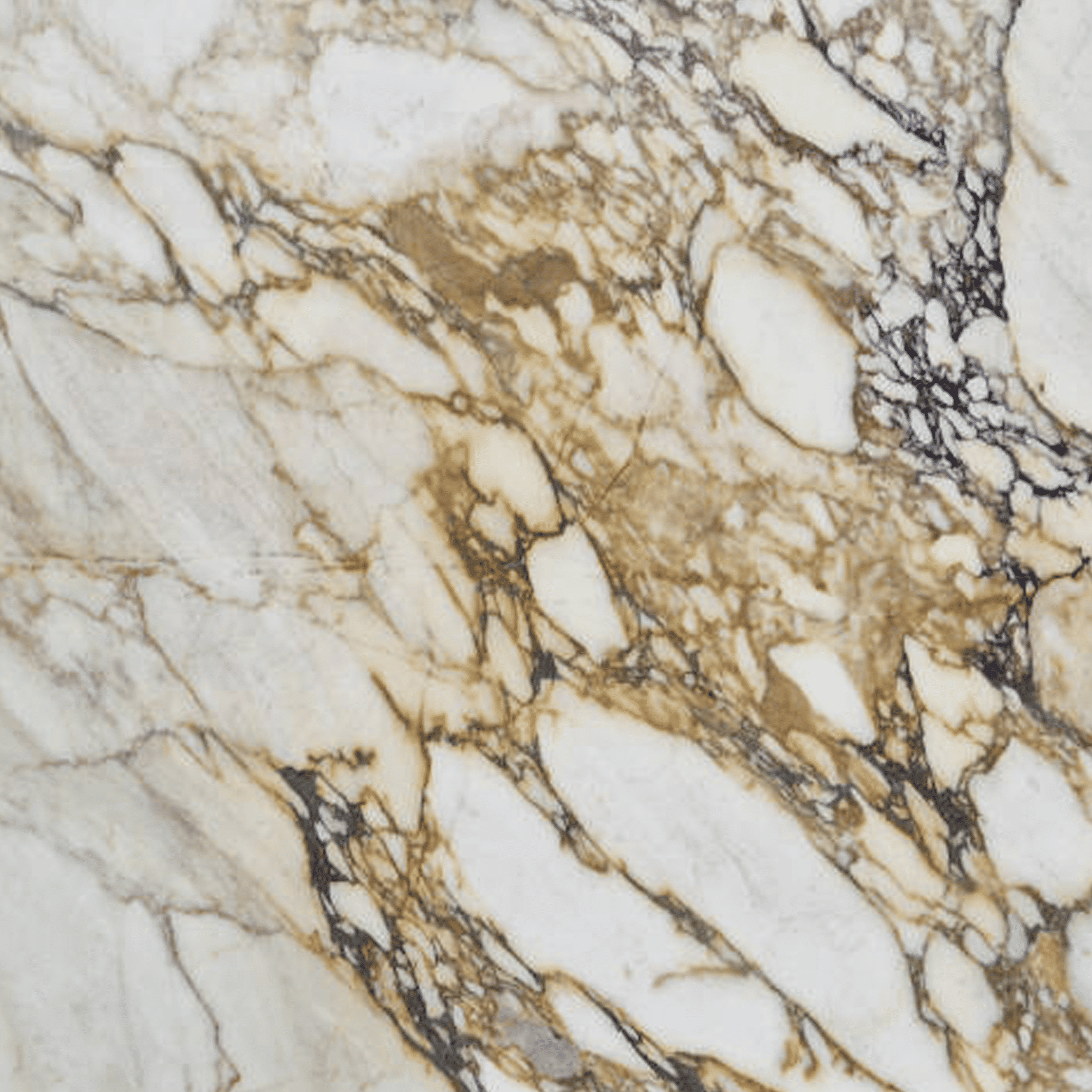 Calacatta Viola Gold