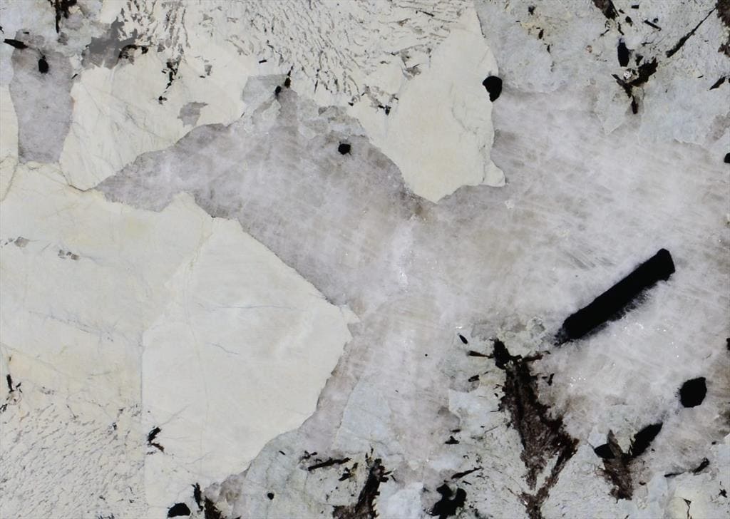 White Patagonia